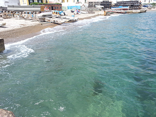 acque di balneazione